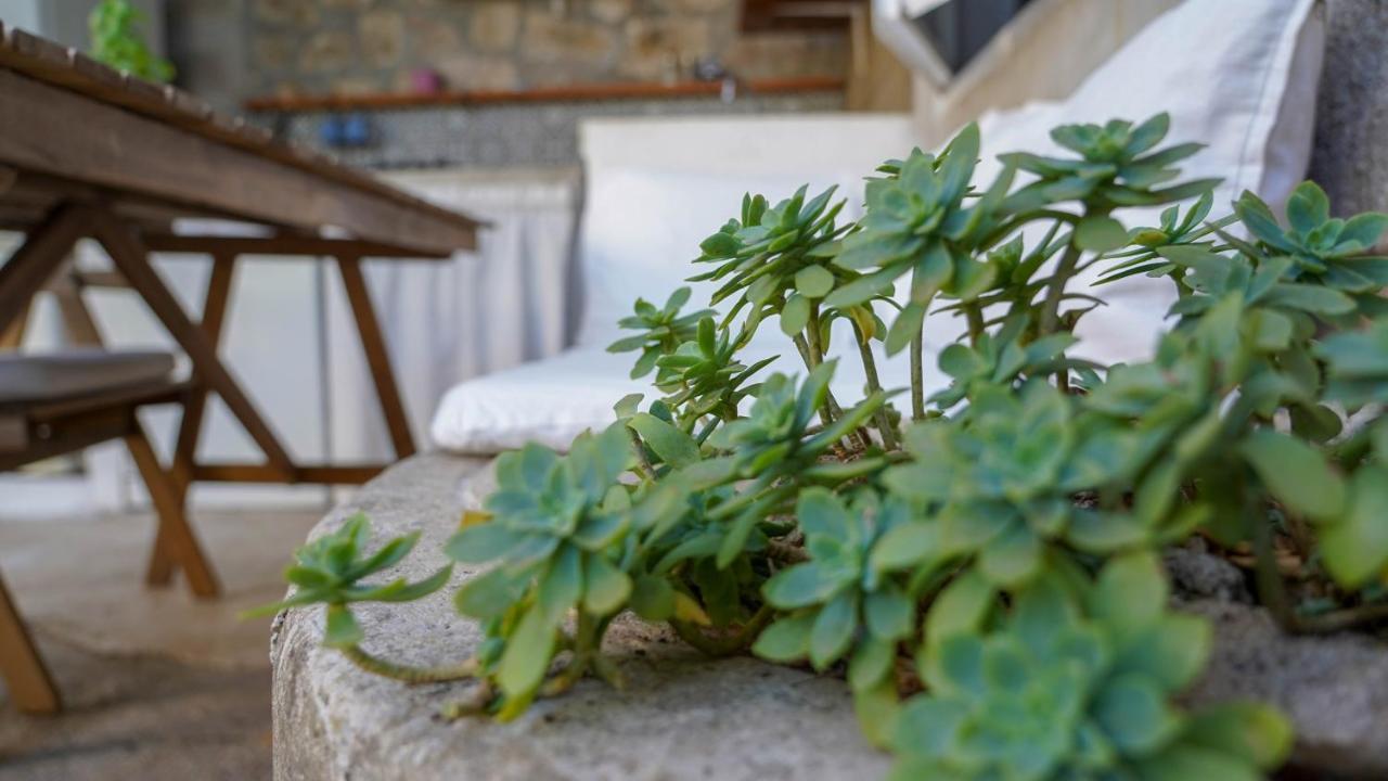 Charming Two-Bed Apartment Orange Garden Sutivan Exterior photo
